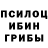 Галлюциногенные грибы ЛСД Igorek Peregoroda