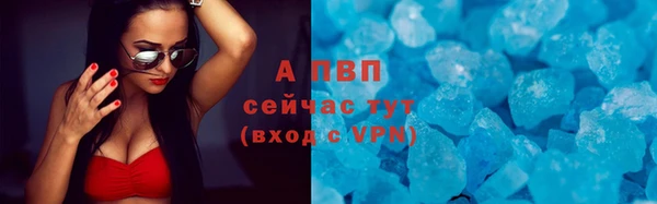 эйфоретик Бородино