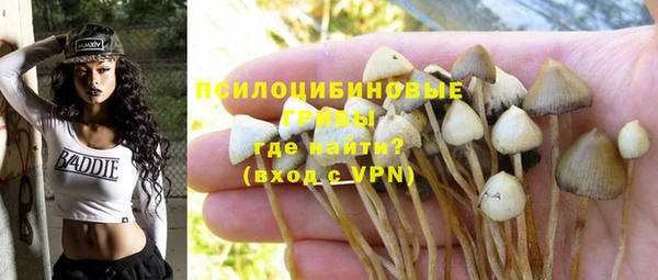 эйфоретик Бородино