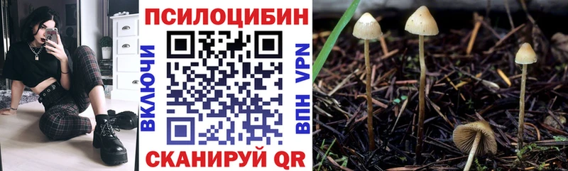 Купить где  Верхняя Салда  Галлюциногенные грибы Magic Shrooms 